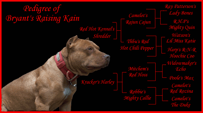 3 Generation Photo Pedigree