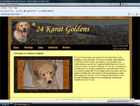 24 Karat Golden Retrievers