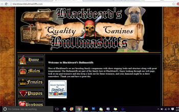 Black Beard's Bullmastiffs