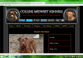 Collins Midwest Kennels