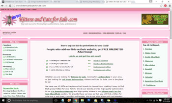 Kittens and Cats for Sale .com