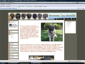Mountain Top Mastiffs