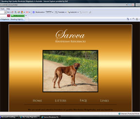 Sarova Rhodesian Ridgebacks