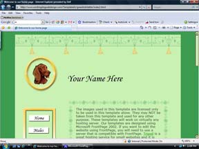 Irish Setter Web Template