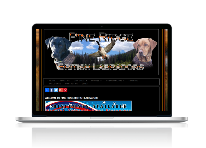 Labrador Retriever Website